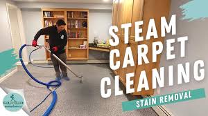 steam carpet cleaning westfield nj