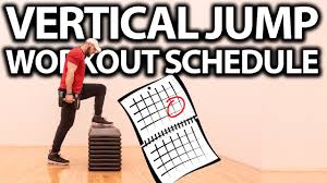 simple vertical jump workout schedule