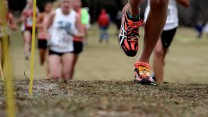 cross country training for all runners