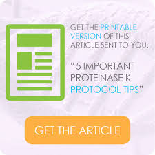 5 important proteinase k protocol tips