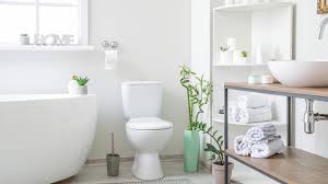 6 reasons why your toilet is leaking at