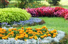 How To Plant A Flower Garden Inspired