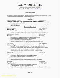How To Type A Cover Letter For A Resume Examples Curriculum Vitae