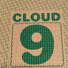 cloud 9 ulus 10mm thick carpet