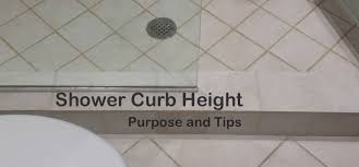 Shower Curb Height Purpose And Tips
