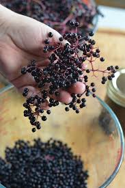 how to make elderberry syrup from fresh