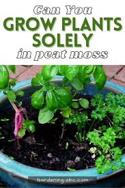 can you grow plants only in peat moss
