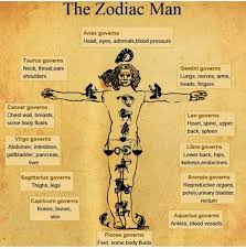 The Zodiac And The Body Connection Chart Zodiac Astrology
