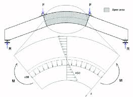 apex area of a curved glulam beam