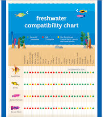 freshwater compatibility chart