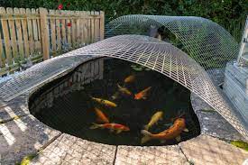 Koi Pond Netting