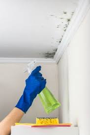 Cleaning Mold
