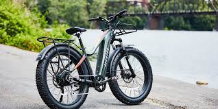 the 8 best fat tire electric bikes in
