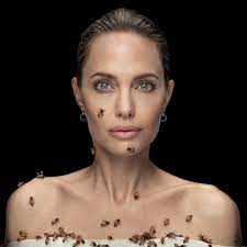 angelina jolie embraces bees and