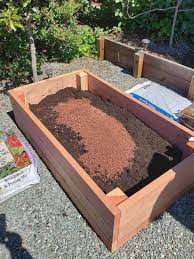 vegetable garden raised beds