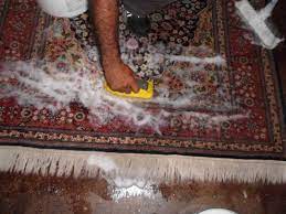 how does a professional clean a rug