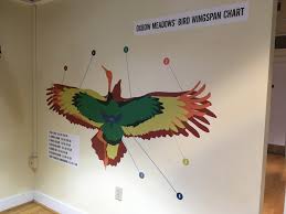Oxbow Meadows Bird Wingspan Chart On Behance
