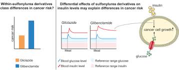 Sulfonylurea Derivatives And Cancer Friend Or Foe