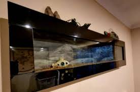 Wall Mounted Fish Tank Pet S