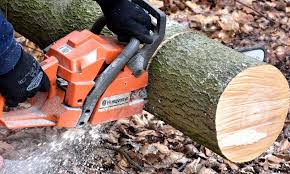 There's an embedded mechanism they have that stores a few drops of oil, and constantly. Stihl Vs Echo Vs Husqvarna Stihl Best Chainsaw Chainsaw