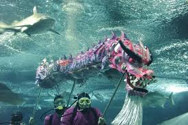 Image result for underwater world singapore