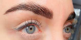 brow lash treatments albany eye for