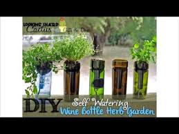 Self Watering Wine Bottle Herb Planter