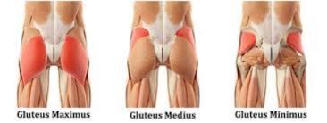 This alters posture and also inhibits, or turns off, the opposing muscle group, the gluteus maximus. Low Back Pain Make Your Glutes Your Best Friend Physiofocus