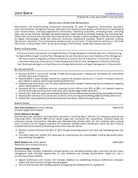 Director of Professional Services Resume VisualCV