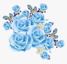 mq blue rose roses flowers flower