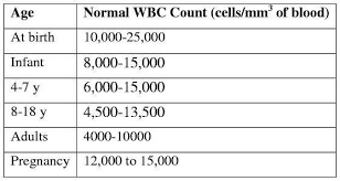 White Blood Cell Wbc Count Normal Range Htq