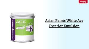 asian paints 20l white ace exterior