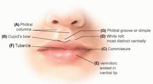 acquired lip deformities