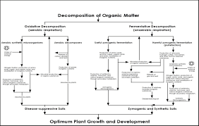 Flow Chart Of The Organic Matter Transformations By Soil