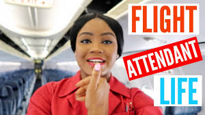 flight attendant life weekly q a