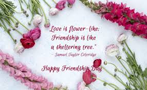 Successful couples do a number of things to keep the spark alive. Happy Friendship Day 2018 10 Quotes On Friendship To Make Your Friends Smile