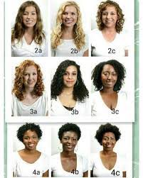 Know Your Hair Type Natural Luscious Hair