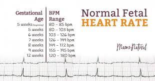 normal fetal heart rate is your baby