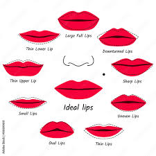 corrective makeup for lips vector