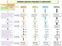 Primer Design Process Flow Chart Download Scientific Diagram