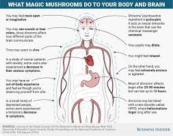 Typically, the body metabolizes and removes psilocybin, the psychoactive drug in mushrooms, within a day (less 24 hours). Mental And Physical Effects Of Magic Mushrooms