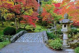 Seattle Japanese Garden Arboretum