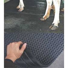Get hold of irresistibly stunning flooring mats on alibaba.com and give your spot a sparkling new look. Gym Flooring Mats Gym Flooring Mats Buyers Suppliers Importers Exporters And Manufacturers Latest Price And Trends