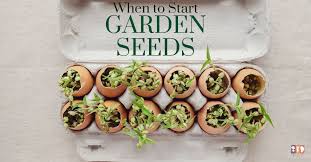 When To Start Garden Seeds The