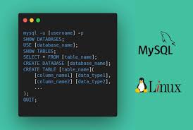 mysql database on linux via command line
