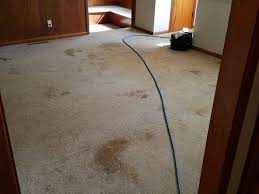 mel s carpet cleaning 6505 w shadow