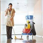 carpet cleaners in lower hutt