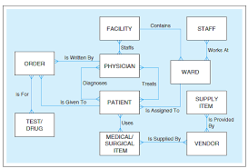 Relational Database Management System  RDBMS   Examples of ER Diagram