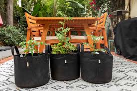 Six Great Containers For Growing Vegetables