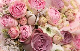 wallpaper flowers romance roses